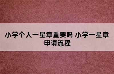 小学个人一星章重要吗 小学一星章申请流程